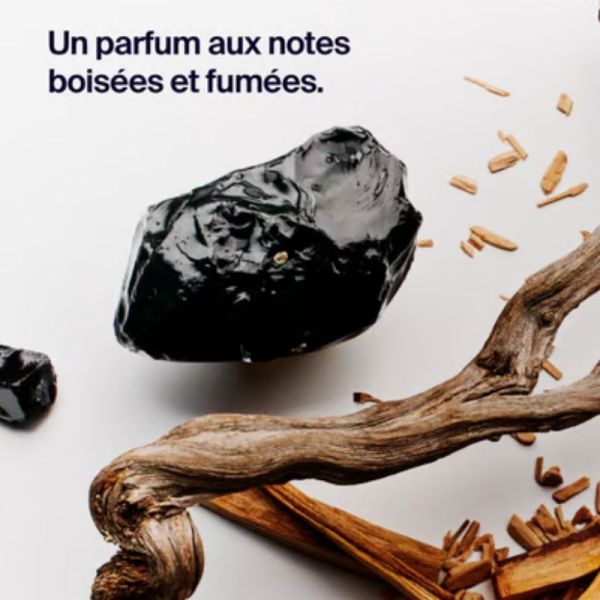 Horace déodorant stick 12H bois de santal & labdanum 50ml