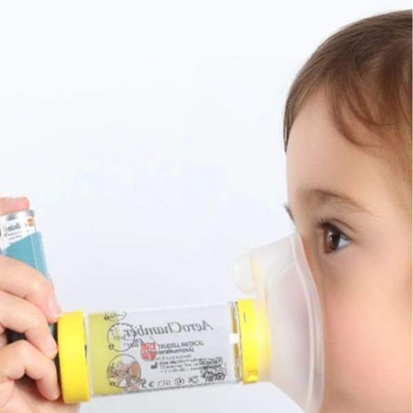 Chambre d'inhalation Aerochamber Plus 1-5 ans