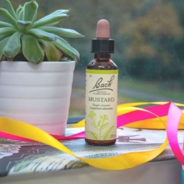 Fleurs de Bach Original Mustard 20ml