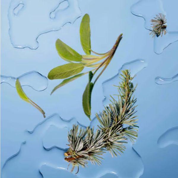 Horace gel douche Cèdre de Virginie et feuille de sauge 250ml