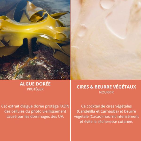 Algologie Soleil Marin baume 3 en 1 cuivre 10ml