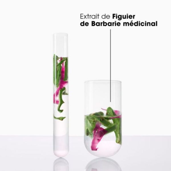 Klorane Figuier de Barbarie shampoing désaltérant 200ml