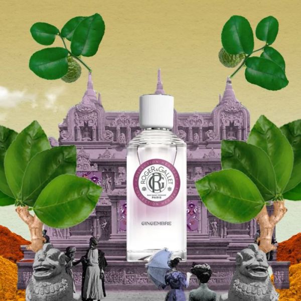Roger & Gallet Gingembre eau parfumée bienfaisante 100ml