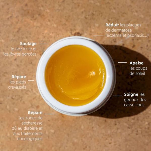 Alvadiem onguent réparateur irritations gerçures à la gelée royale 50ml