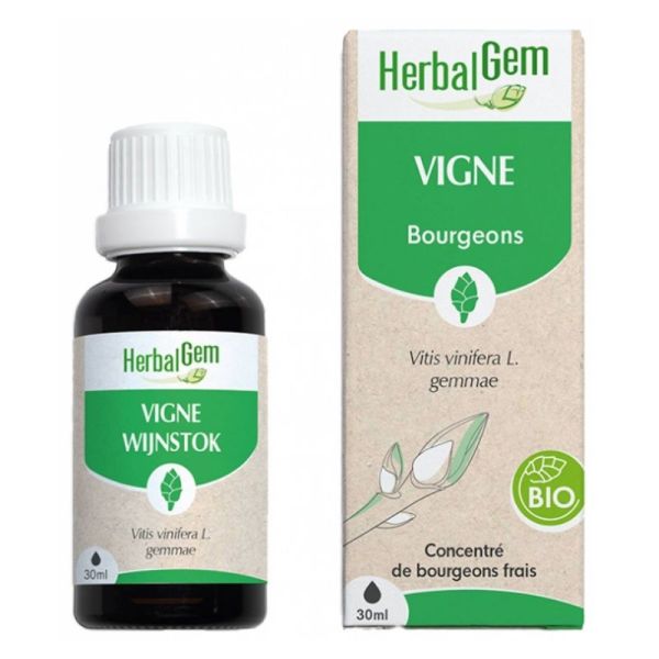 Herbalgem Bourgeon de Vigne Bio 30 ml