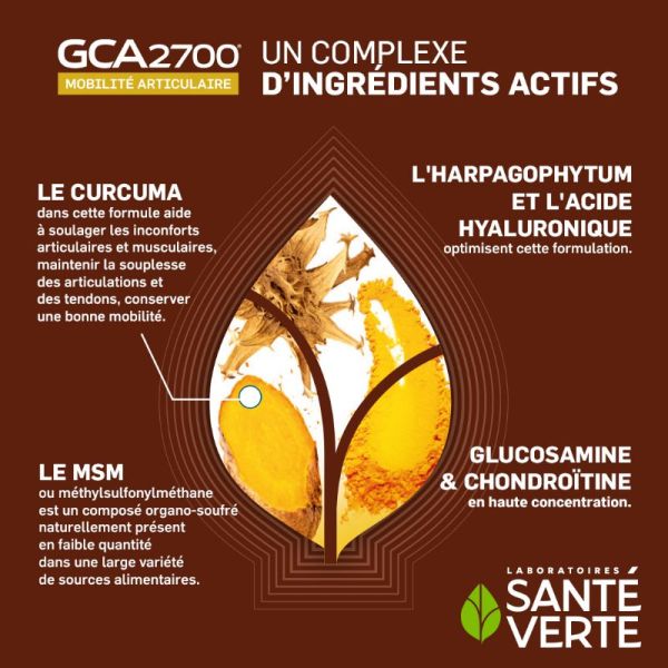 Sante Verte GCA 2700 Mobilité articulaire 120+60 Comprimés