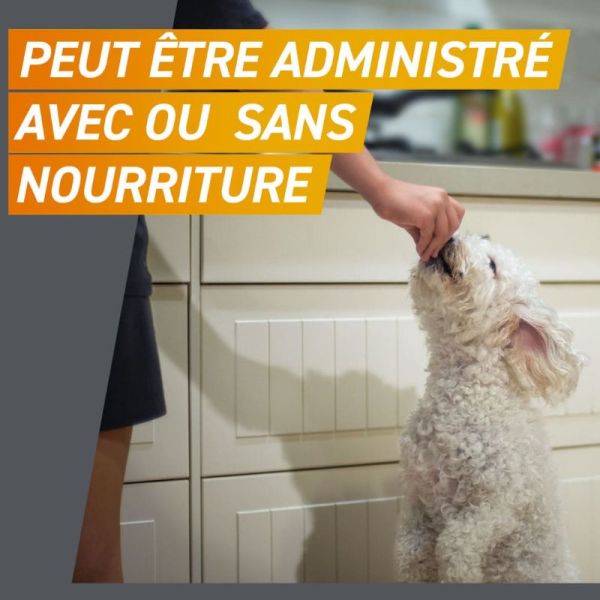 Frontline Frontpro antiparasitaire 4-10kg Puces et Tiques 3 comprimés