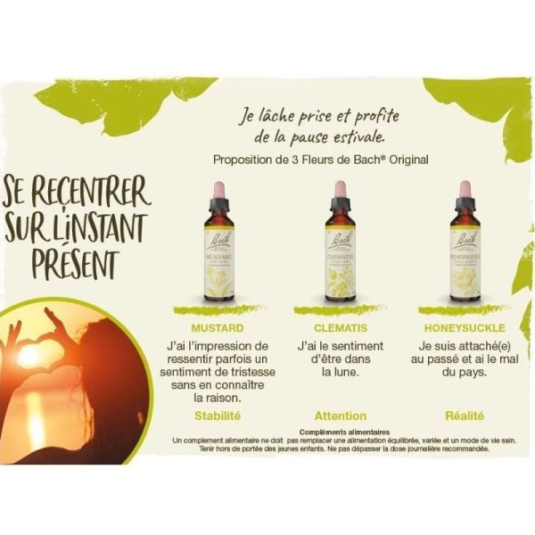 Fleurs de Bach Original Clematis 20ml