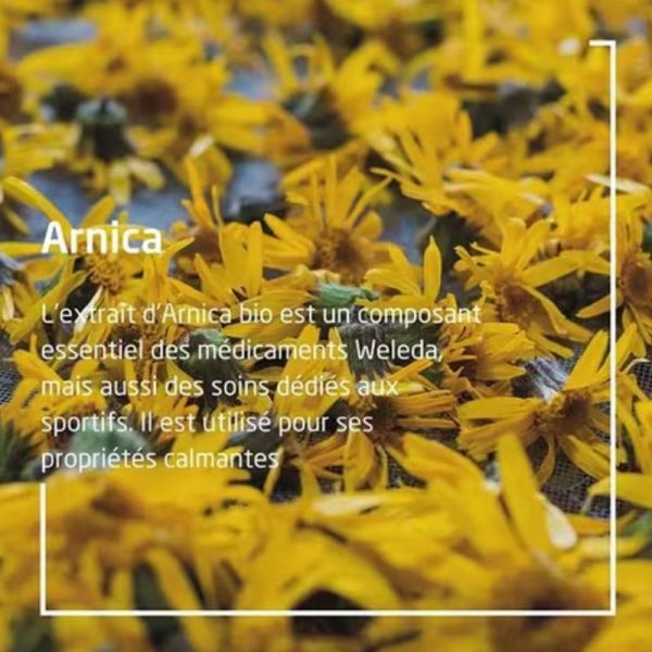 Weleda huile de massage à l'arnica 200ml
