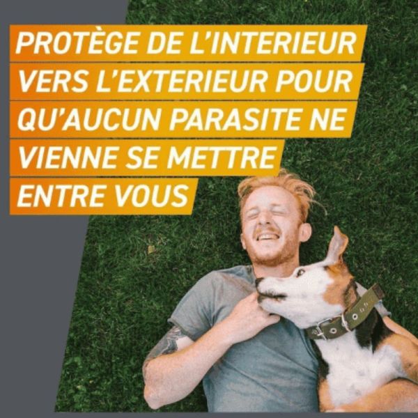 Frontline Frontpro antiparasitaire 4-10kg Puces et Tiques 3 comprimés