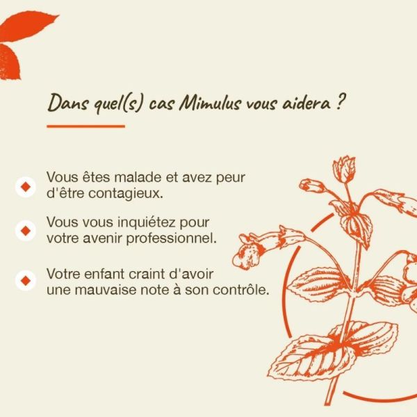 Fleurs de Bach Original Mimulus 20ml