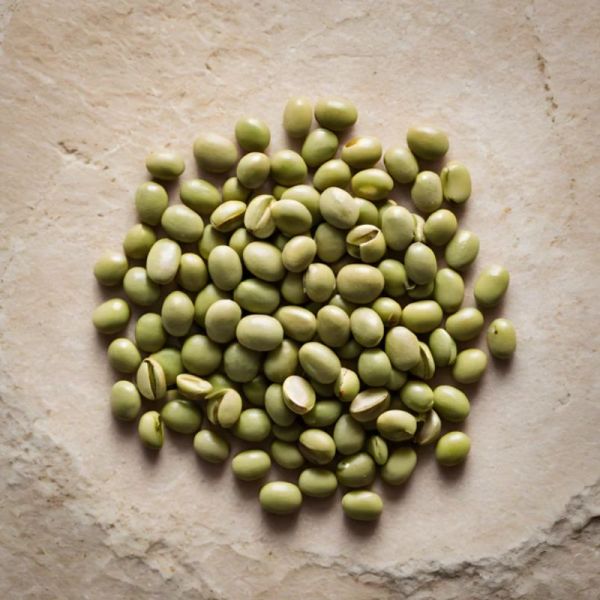 Lazartigue Nourish-Light shampoing nutrition légère 250ml