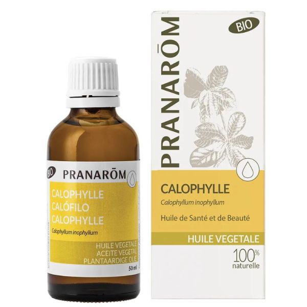Pranarôm huile végétale Calophylle Bio 50 ml