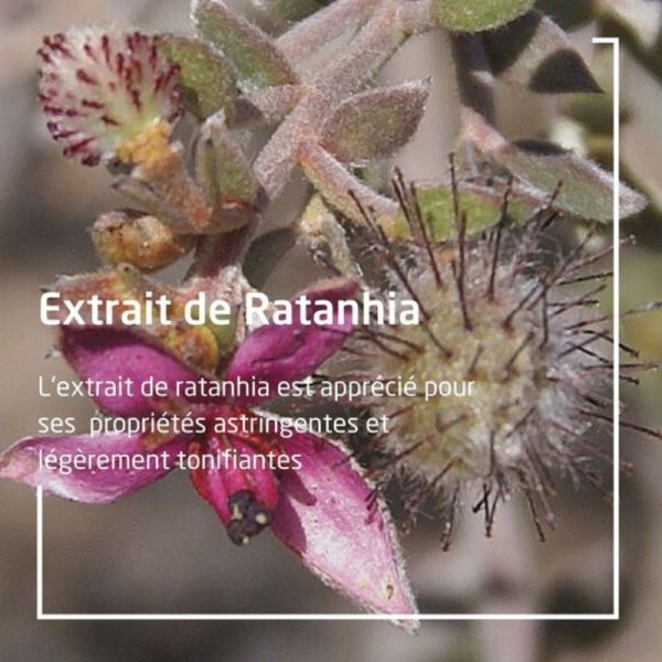 Weleda pâte dentifrice au ratanhia 75ml