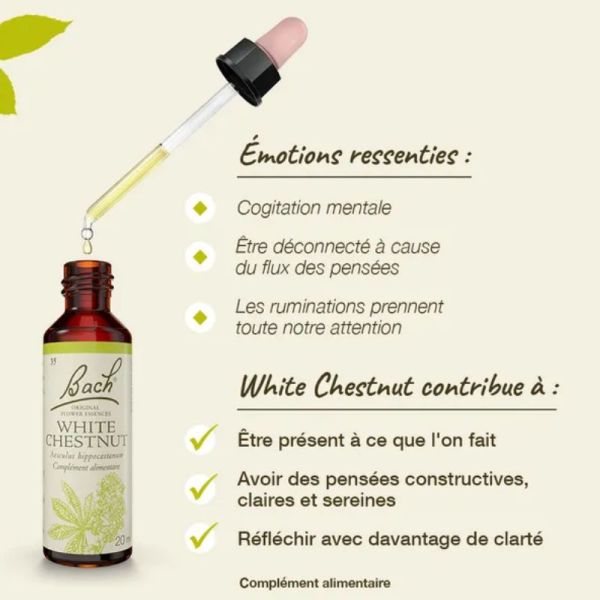 Fleurs de Bach Original White Chestnut 20ml