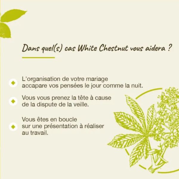 Fleurs de Bach Original White Chestnut 20ml