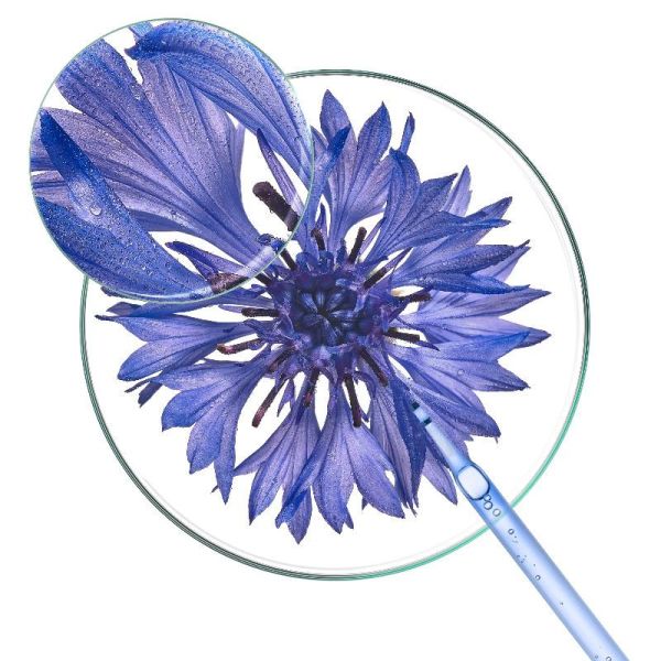 Klorane Bleuet BIO crème d'eau de bleuet 30ml