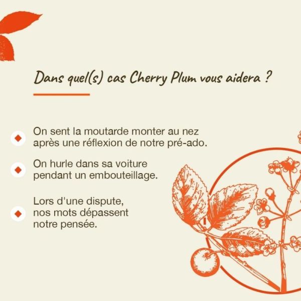 Fleurs de Bach Original Cherry Plum 20ml