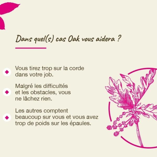 Fleurs de Bach Original Oak 20ml