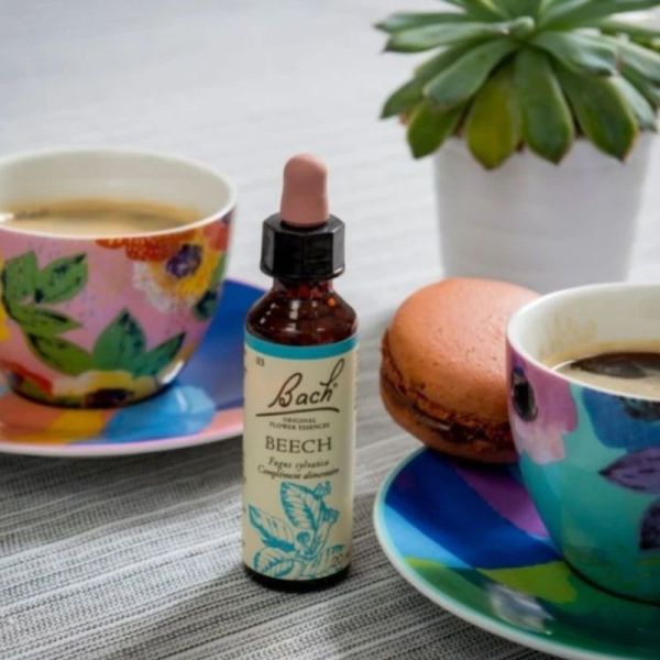 Fleurs de Bach Original Beech 20ml