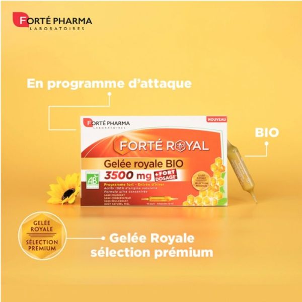 Forté Pharma Forté Royal Gelée Royale 3500 mg Bio 10 ampoules