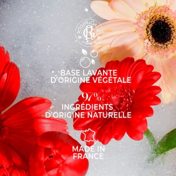 Roger & Gallet Gingembre Rouge savon bienfaisant 100g