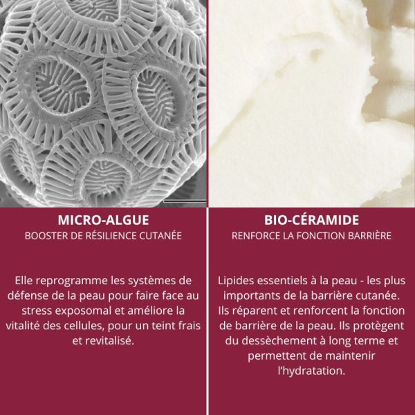 Algologie Crème Du Jardin Marin crème énergisante protectrice 50ml