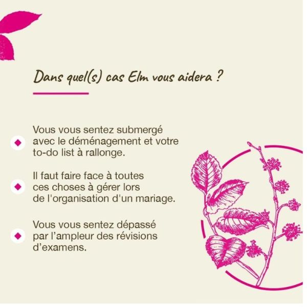 Fleurs de Bach Original Elm 20ml