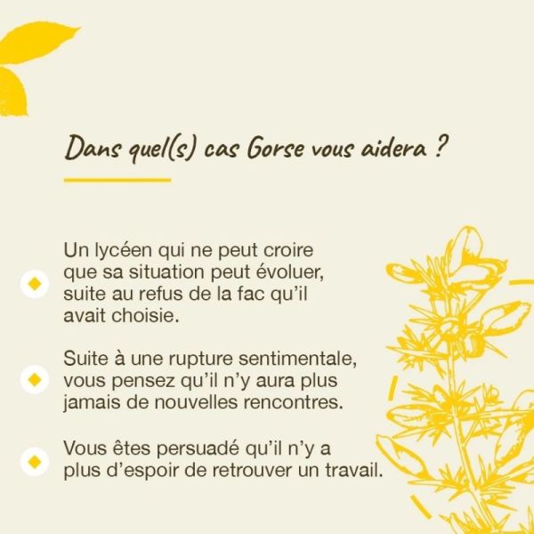 Fleurs de Bach Original Gorse 20ml