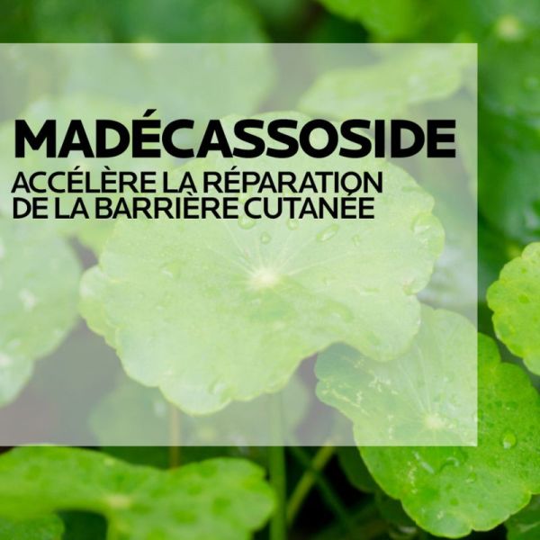 Roche Posay Cicaplast baume B5+ 15ml