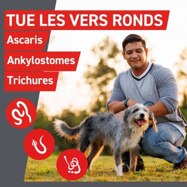 Frontline Frontcontrol-Wormer XL vermifuge pour grand chien 2 comprimés