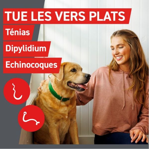 Frontline Frontcontrol-Wormer XL vermifuge pour grand chien 2 comprimés