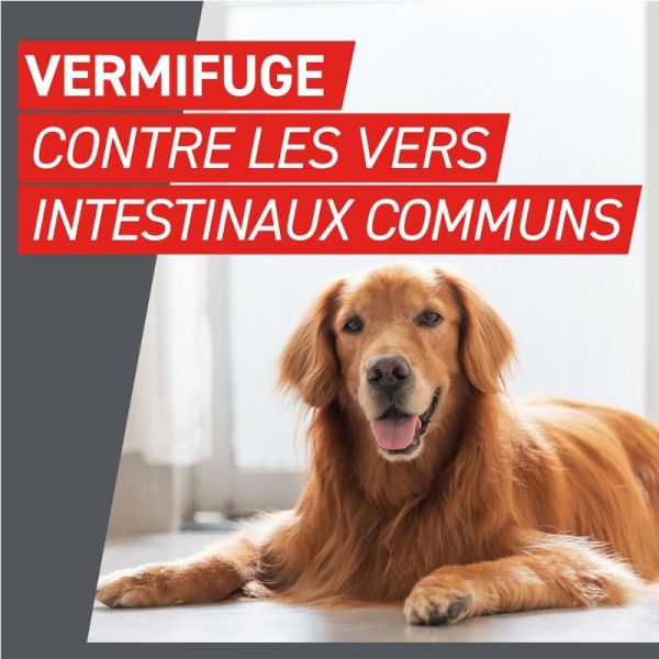 Frontline Frontcontrol-Wormer XL vermifuge pour grand chien 2 comprimés