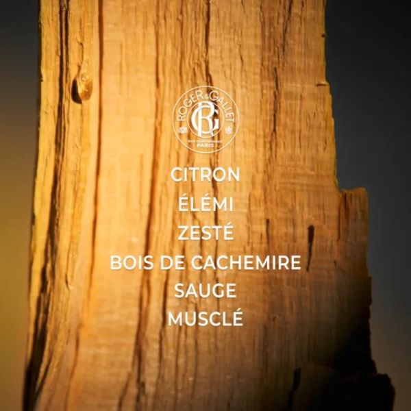 Roger & Gallet Cologne Twist eau de Cologne 100 ml