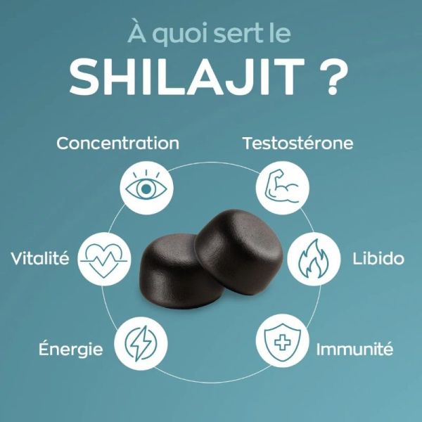 Granions Shilajit 800mg saveur cassis 60 gummies