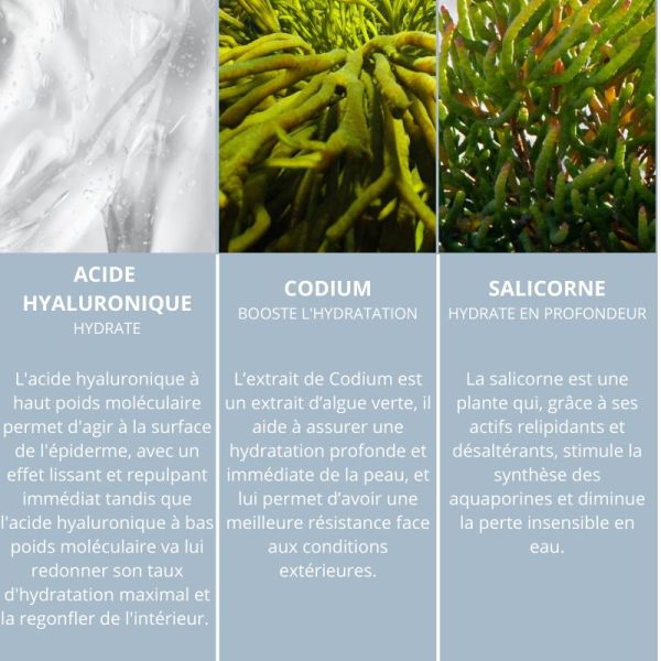 Algologie Elixir Des Vagues booster hydra-ressourçant 30ml