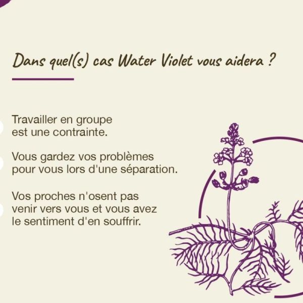 Fleurs de Bach Original Water Violet 20ml