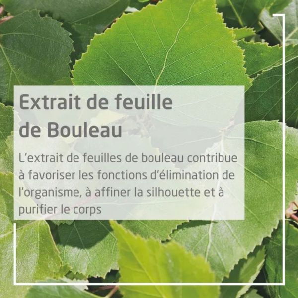 Weleda bouleau Pear-scrub crème de douche gommante 150ml