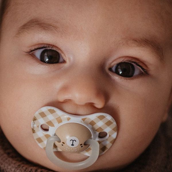 Suavinex Lot de 2 Sucettes SX Pro Night & Day Wild and Free Bleu Lapin 0 6 Mois