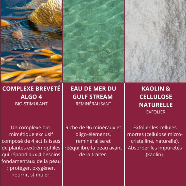 Algologie Gomme Marine crème gommante & désincrustante 50ml