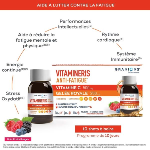 Granions Vitamineris anti fatigue unidoses 10X25ml