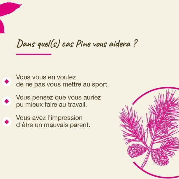 Fleurs de Bach Original Pine 20ml