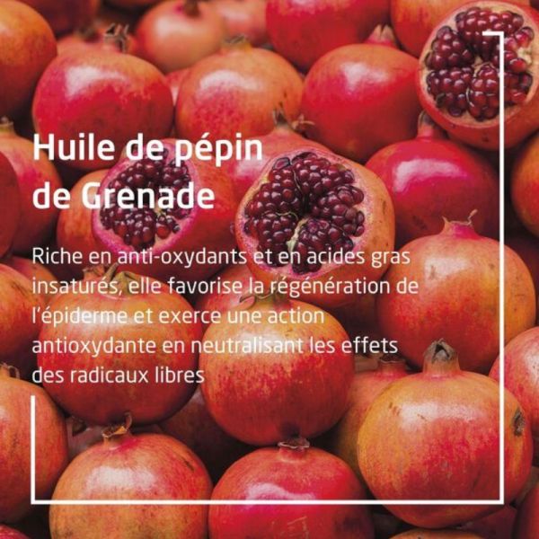 Weleda Grenade Maca crème mains régénératrice 50 ml