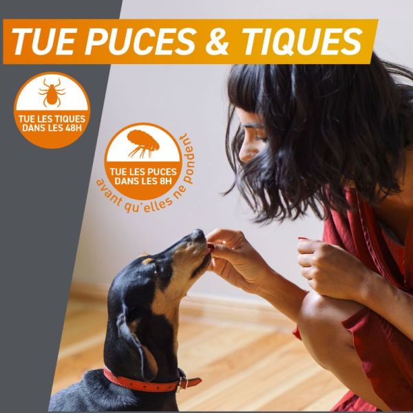 Frontline Frontpro antiparasitaire 2-4kg puces et tiques 3 comprimés