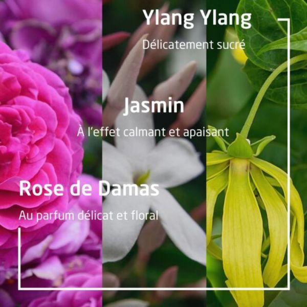 Weleda Love crème de douche rose délicate 200ml